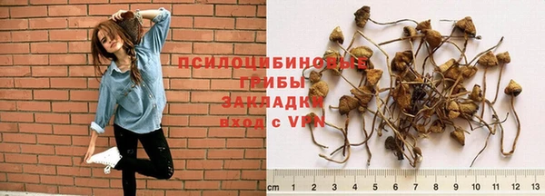 амфетамин Зерноград