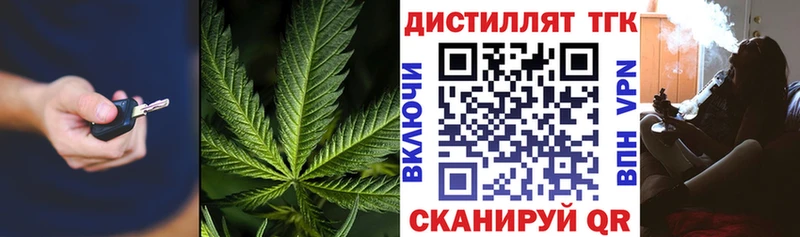 Купить где  Гаврилов Посад  ТГК THC oil 